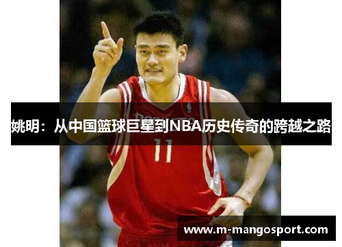 姚明：从中国篮球巨星到NBA历史传奇的跨越之路