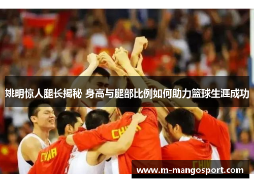 姚明惊人腿长揭秘 身高与腿部比例如何助力篮球生涯成功