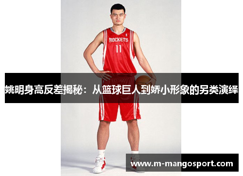 姚明身高反差揭秘：从篮球巨人到娇小形象的另类演绎
