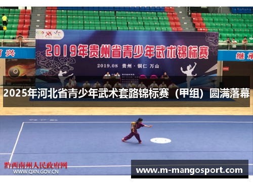 2025年河北省青少年武术套路锦标赛（甲组）圆满落幕
